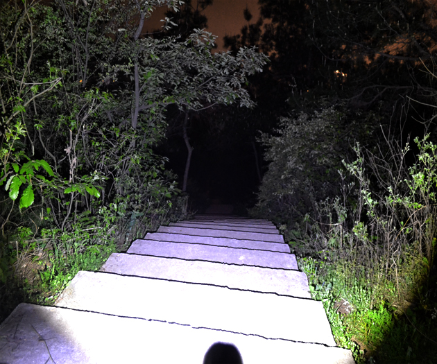 Front light 3